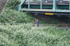 DSC04126.JPG