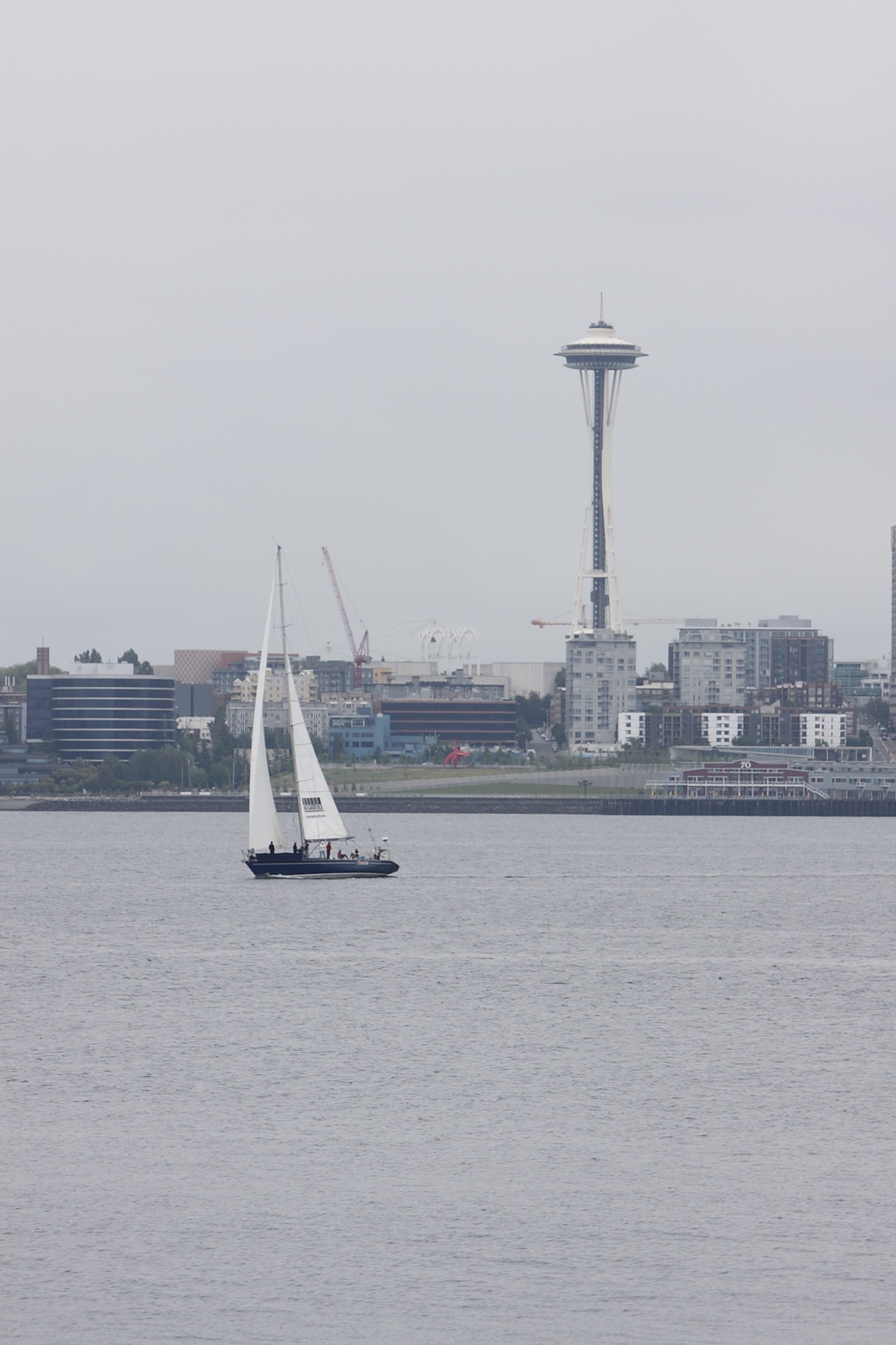 _MG_7239