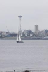 _MG_7237