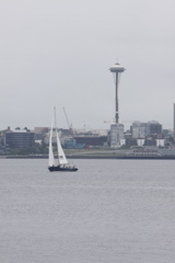 _MG_7239